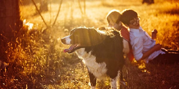 Spokane Real Estate Market Report - March 2026 Image